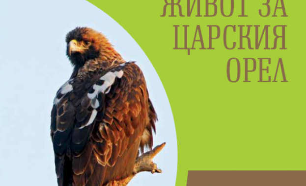 “Електроразпределение Юг“ издаде нова брошура по проект “Живот за царския орел” (Life for safe grid)