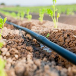 Как да накарате системата за капково поливане да заработи ефективно