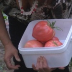 Отбелязваме деня на българския градинар