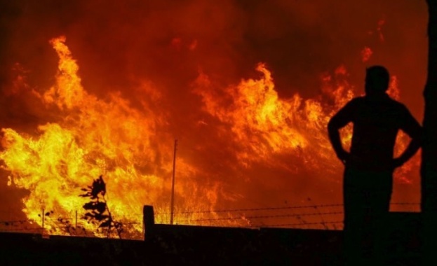 Няма данни за пострадали българи при пожара в Зигбург