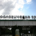 Заради карантината - зоологически градини от целия свят пуснаха живо излъчване на обитателите