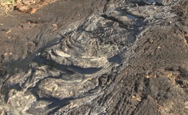 Екоинспектори откриха нефтен остатък на незаконно сметище в Русе