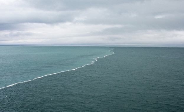 Германската полиция съобщи за 50-километрово нефтено петно в Северно море