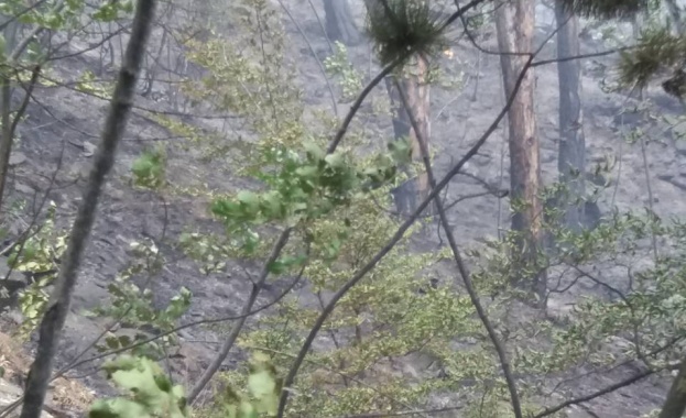  Потушен е пожарът край Карлово