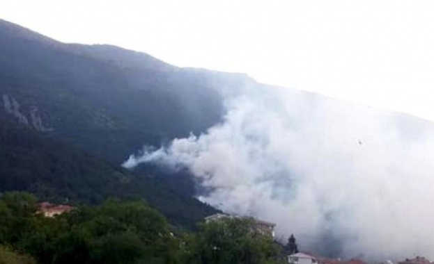 Пожар  обхвана 500 декара гори и лозя край град Баня, Карловско