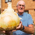 Градинар отгледа почти 5-килограмов кромид лук (СНИМКА) 