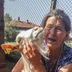 Избитите животни в Странджа: Убийство без акредитация