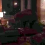 Космат посетител се разходи из хотел в Колорадо (ВИДЕО)