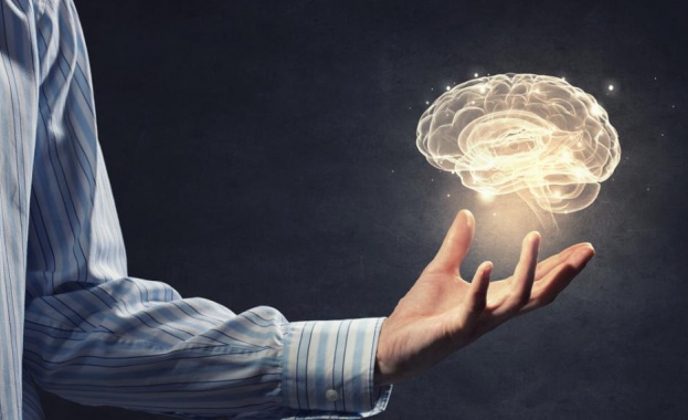 Физик предлага различна теория за интелекта