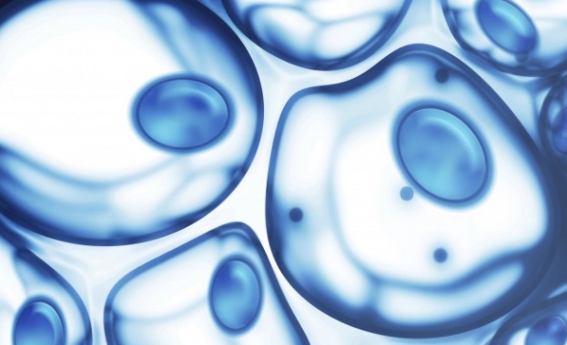 Учени създадоха "GPS" система вътре в тялото