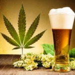 Пускат бира с марихуана в Щатите (видео)