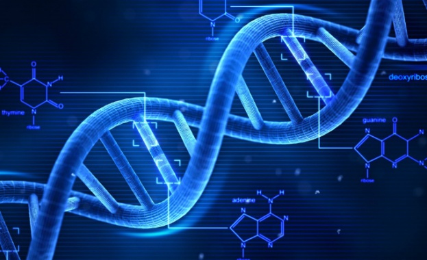 Биткойн маниаци пазят паролите си чрез ДНК