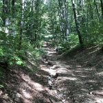 Аз пътувам не толкова, за да отида...