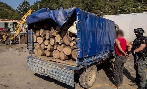 Прокуратурата ще поиска днес постоянен арест за задържаните за незаконен добив на дърва
