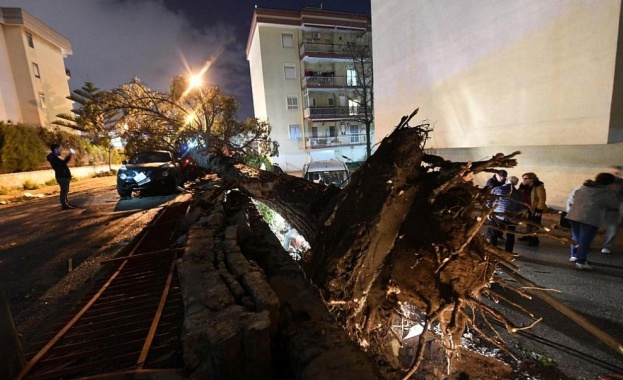 Стотици хиляди останаха без електричество заради торнадо 