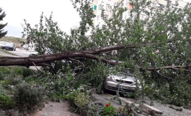 Силният вятър започна да създава проблеми в Северозападна България