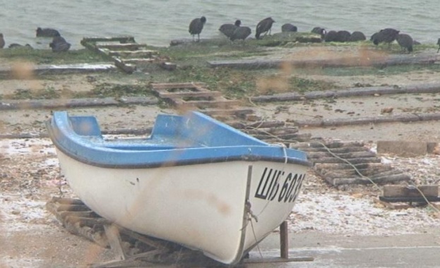 За една важна екоакция с днешна дата Над 7 тона