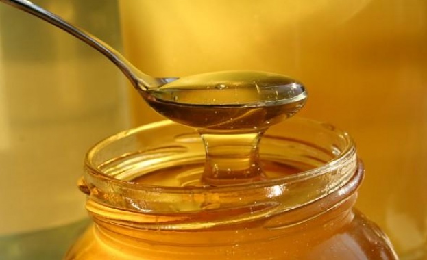 Пчелар: Не купувайте мед на цена под 5 лева 