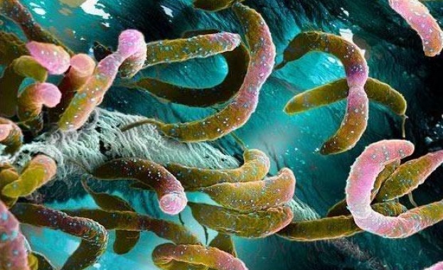 Учени алармират: Трябва ни "Ноев ковчег" за микробите