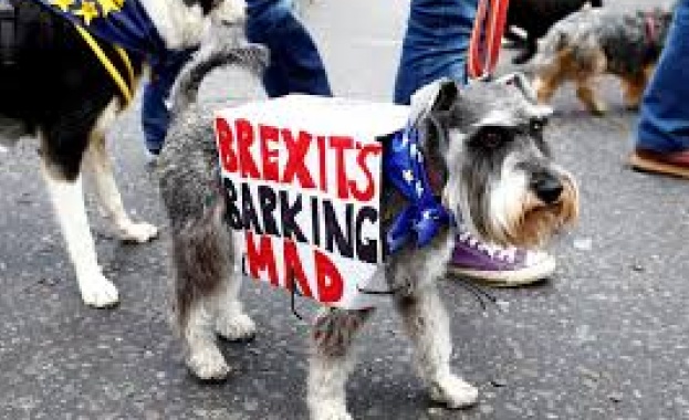 Кучешко шествие срещу Брекзит