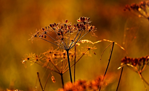 Предстоящи събития за 13 октомври