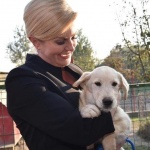 Хърватската президентка осинови куче от приют