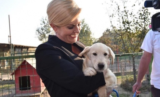 Хърватската президентка осинови куче от приют