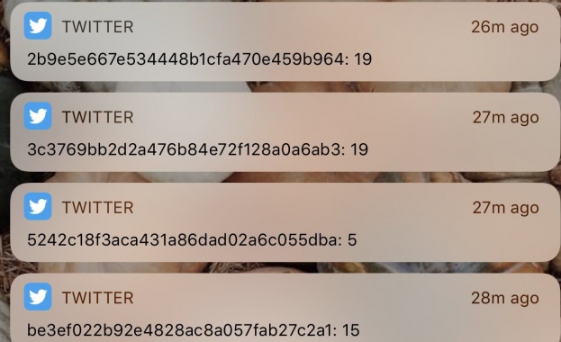 Twitter изпраща странни съобщения на свои потребители