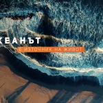 Остава месец до края на най-голямата кампания в защита на океаните „Глас за океана“