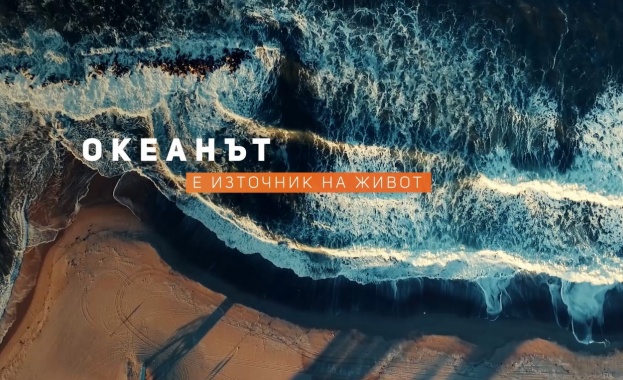 Остава месец до края на най-голямата кампания в защита на океаните „Глас за океана“