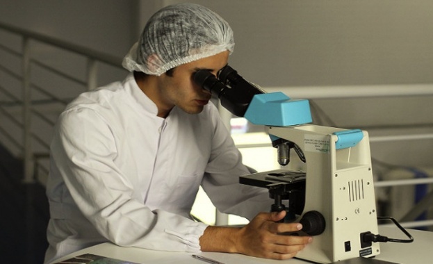 Учени откриха лекарство срещу Алцхаймер