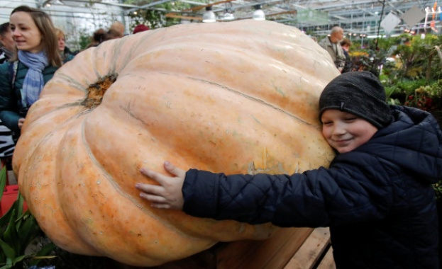 В Москва разрязаха тиква рекордьор 