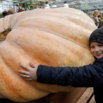 В Москва разрязаха тиква рекордьор 