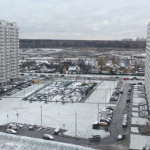 В Москва си честитиха първия сняг