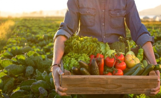 Европейската комисия изпраща последно предупреждение на България заради нарушение на