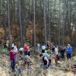 2000 дръвчета засадиха 230 доброволци от ЧЕЗ в рамките на кампанията  We Do Green