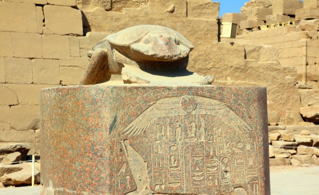 Археолози откриха за първи път мумифицирани скарабеи