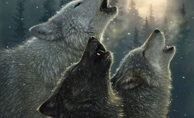 Почитаме Свети Мина - покровител на семейството и сираците. Започват “Вълчите празници”