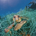 National Geographic даде старта на глобалната инициатива „Планета или пластмаса?“ 