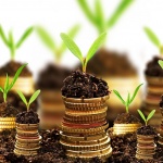 Трябва ли да инвестирате в Bitcoin и Ethereum?