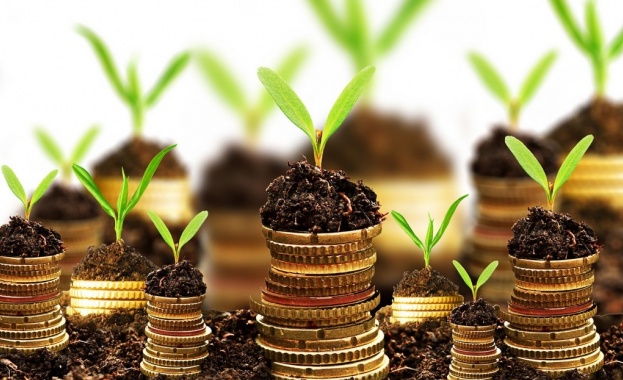 Трябва ли да инвестирате в Bitcoin и Ethereum?