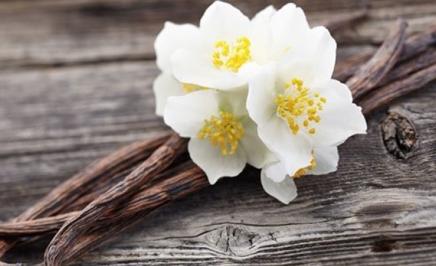 Хората са използвали ванилия още преди 3600 години