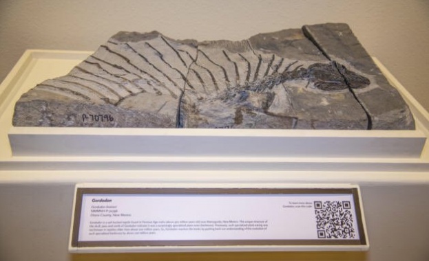 Откриха фосили от растителноядно влечуго отпреди 300 млн. години