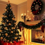 Българинът отделя между 90 и 100 лева за коледна елха 