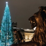 Запалиха светлините на коледната елха на "Трафалгар"