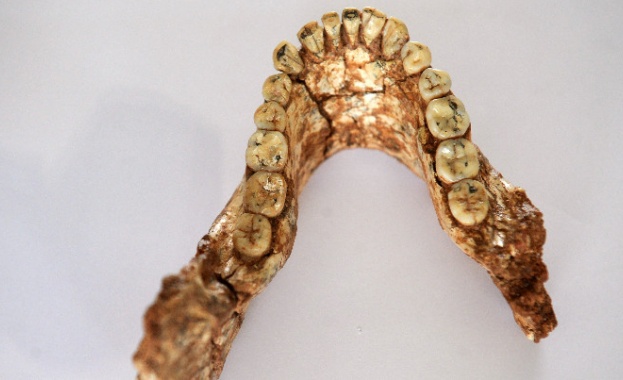 Древната диета, превърнала Homo sapiens в доминиращ вид