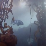 Японска риба измина 8000 км до Калифорния 