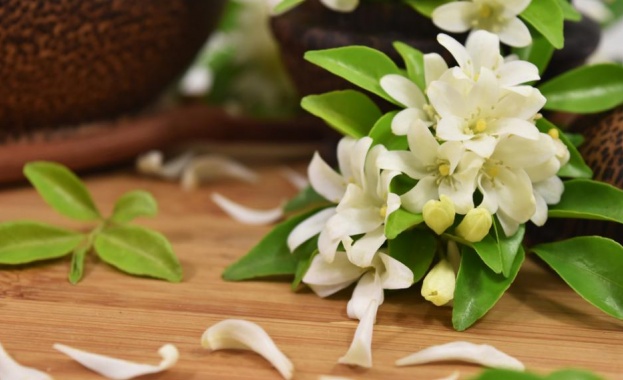 Уханието на жасмин успокоява като валиум