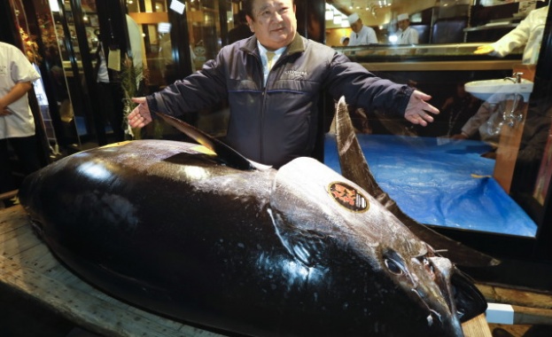 Рекордни $3,1 млн. платиха за 278-килограмова риба тон в Япония