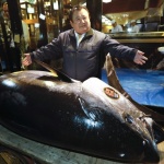 Рекордни $3,1 млн. платиха за 278-килограмова риба тон в Япония